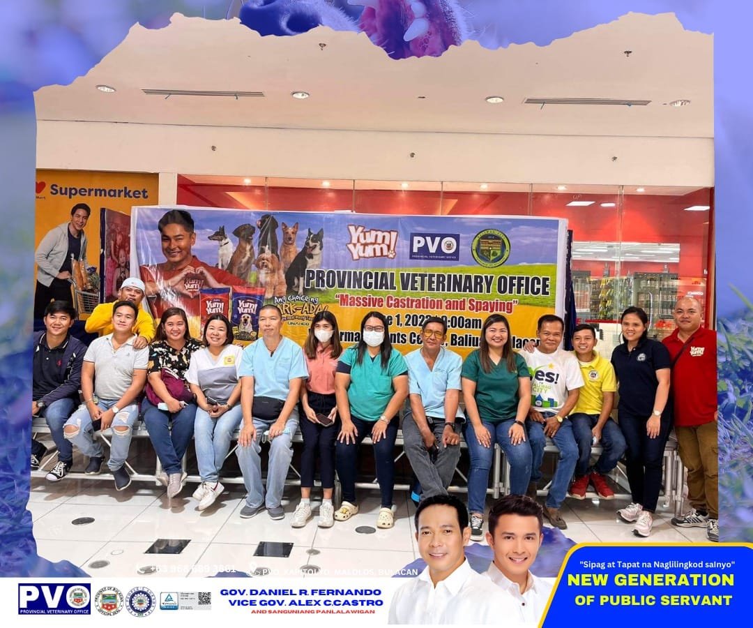 Preventing Common Animal Diseases